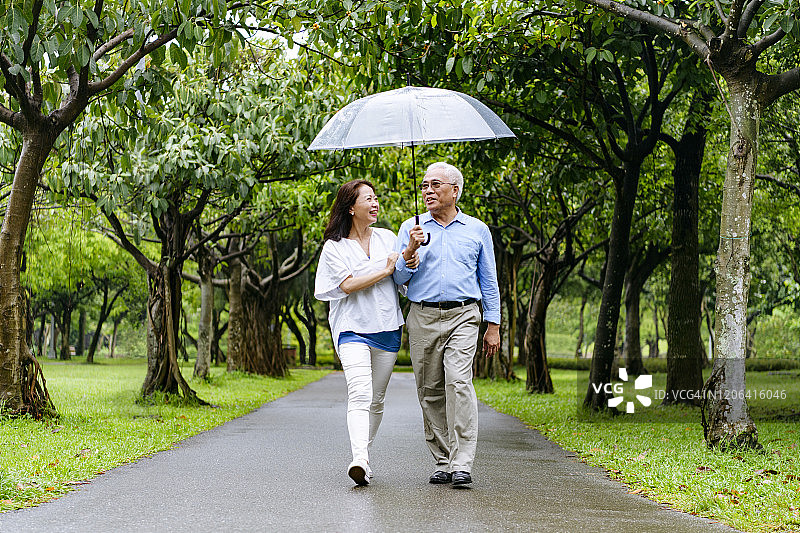 老年夫妇在雨天的公园里撑伞图片素材