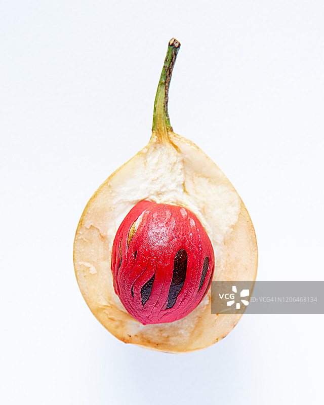 切开肉豆蔻果实图片素材