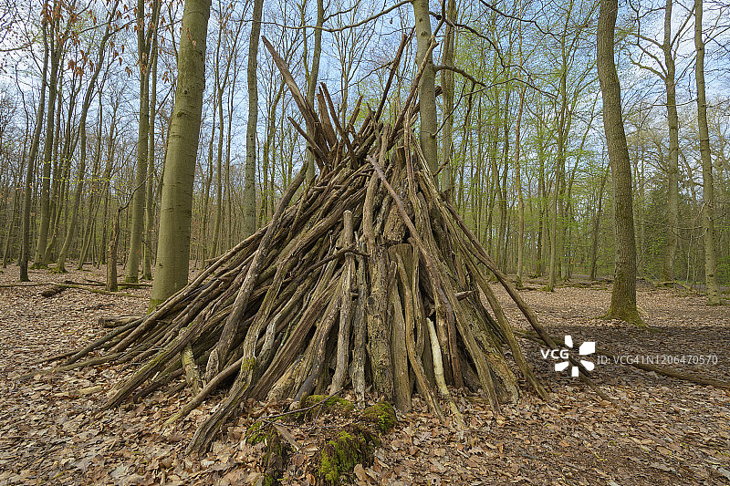 森林中树枝搭建的游乐屋图片素材