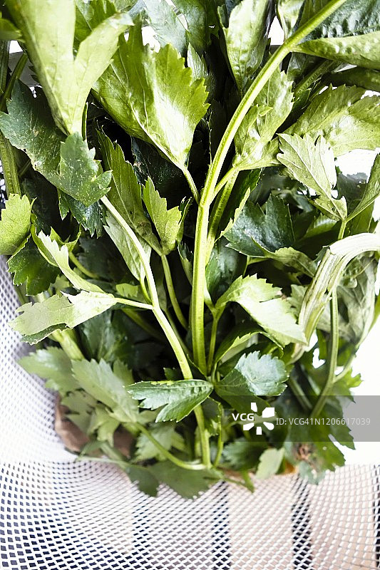 篮子里的新鲜芹菜图片素材