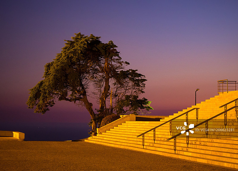 位于葡萄牙维亚纳堡圣卢西亚保护区的树图片素材