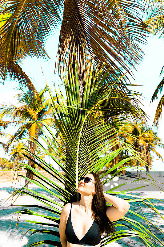 迈阿密海滩阳光下女人们棕榈叶肖像图片素材