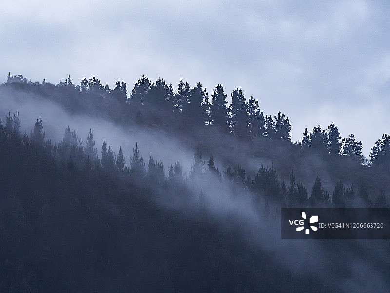 冬日清晨山间薄雾图片素材