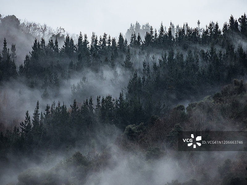 冬日清晨山间薄雾图片素材