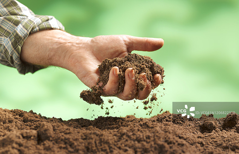 手持富含有机物质的土壤图片素材