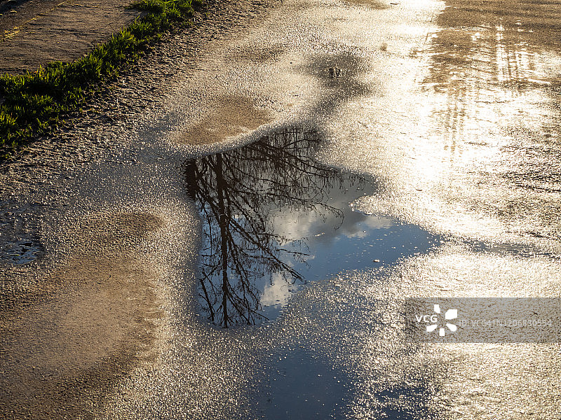 道路沥青上的水坑中树的倒影图片素材
