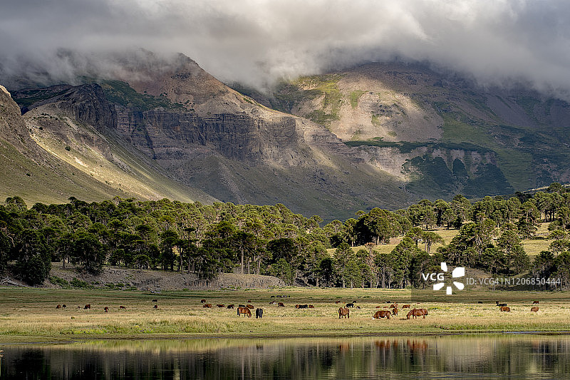 巴塔哥尼亚火山景观图片素材