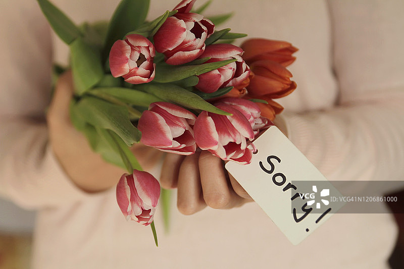 手持郁金香花束和道歉信息图片素材