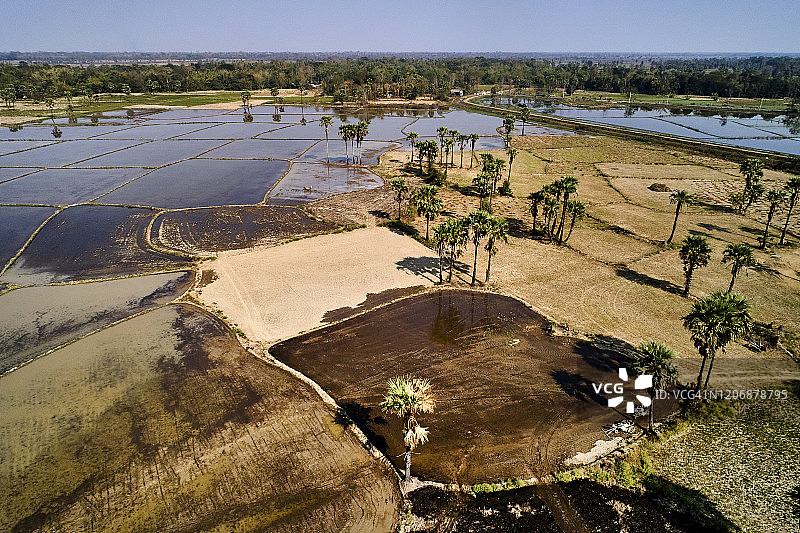 缅甸南部稻田图片素材