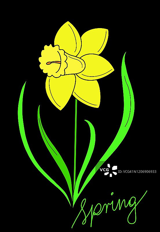 水仙花绘画图片素材