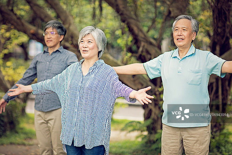 亚洲中年朋友在公园里练习太极拳图片素材