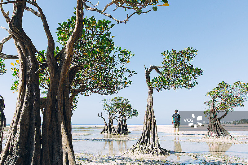 在瓦拉基里海滩旅行的印尼游客图片素材