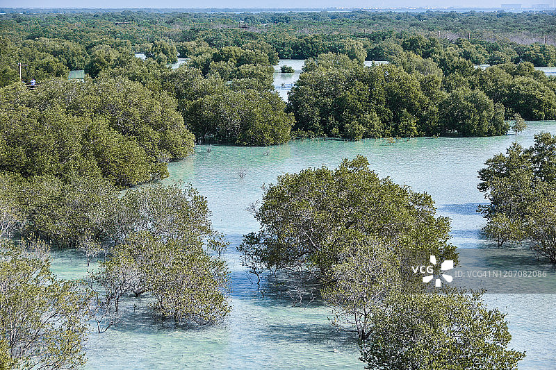 阿布扎比朱拜勒红树林公园图片素材