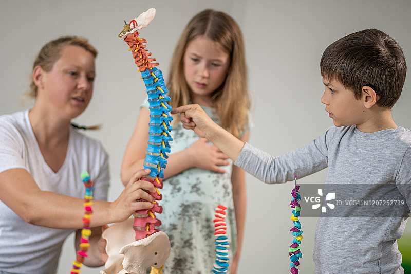 孩子们和老师一起探索人体脊椎图片素材