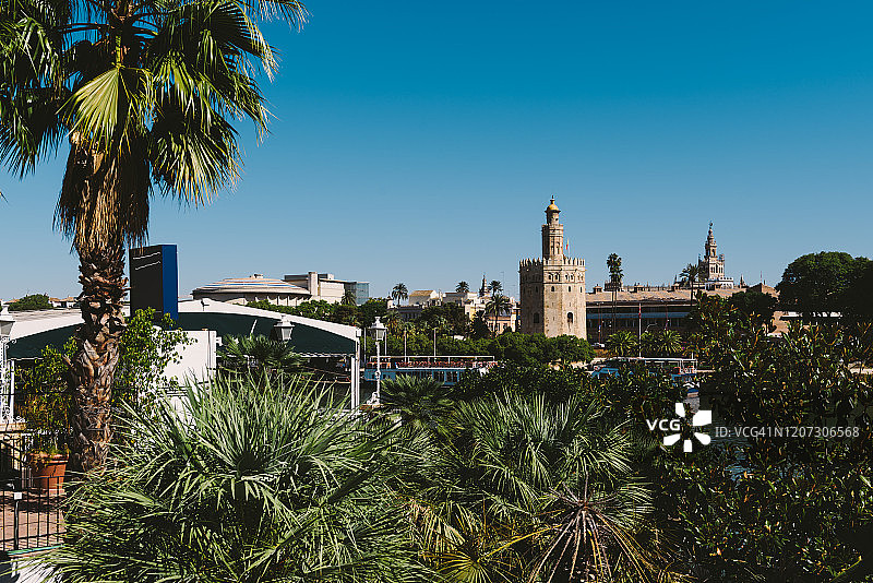 瓜达尔基维尔河畔黄金塔景色图片素材