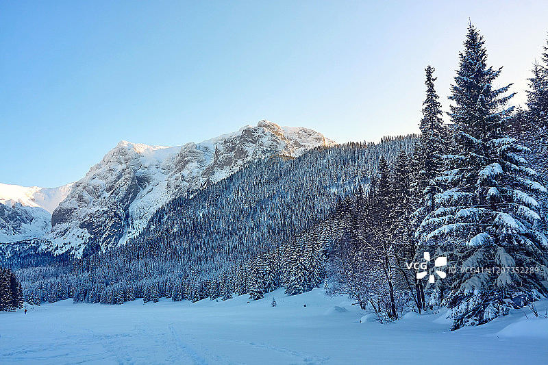 波兰塔特拉山脉中的山间空地图片素材