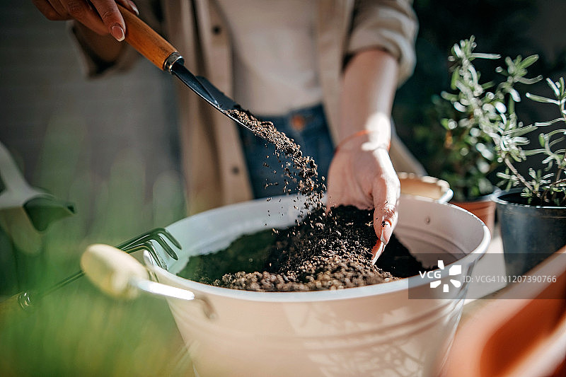 你需要成长图片素材