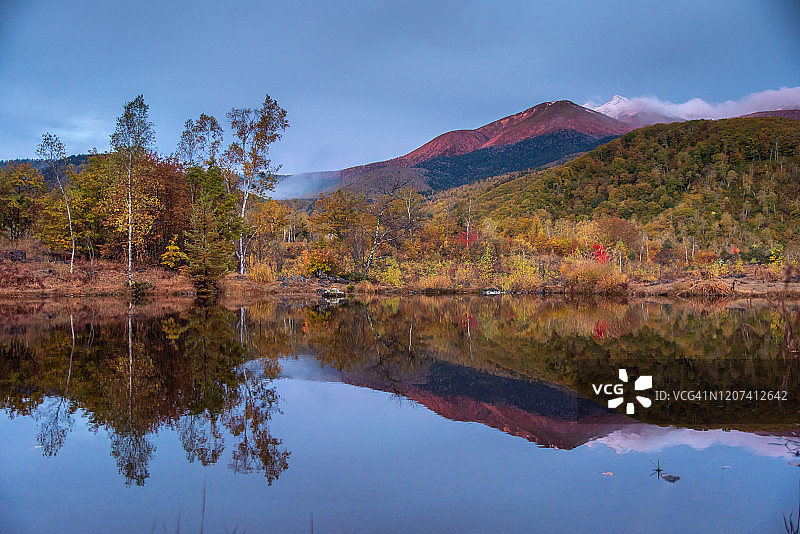 日本长野县乘鞍高原的秋季森林图片素材