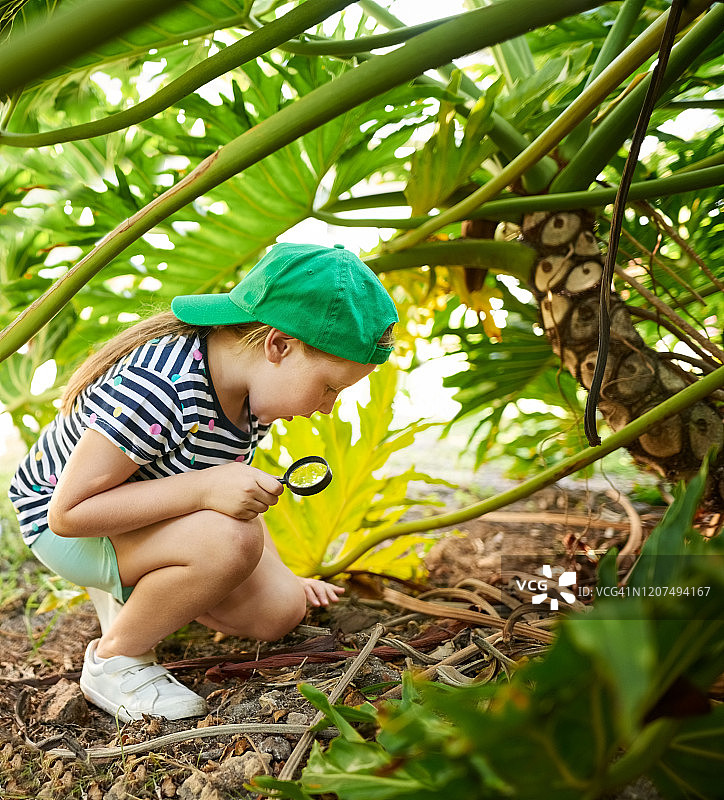 探索她的花园图片素材