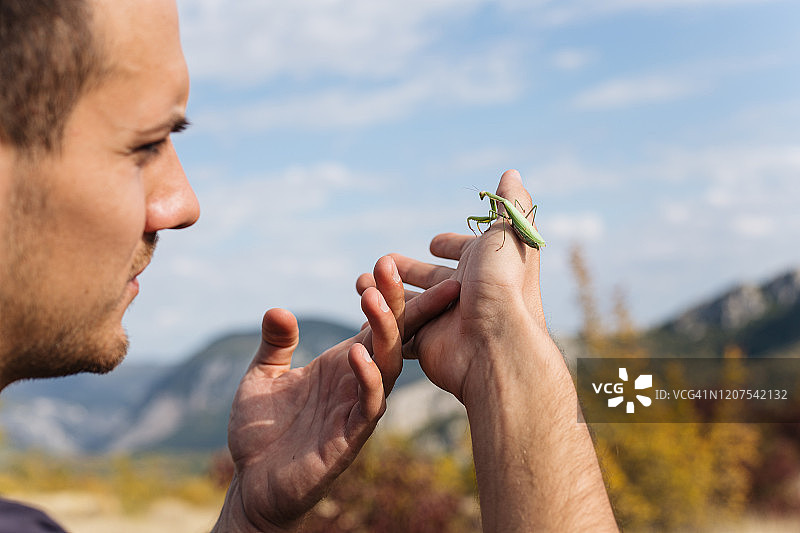 充满冒险精神的男生物学家观察螳螂图片素材