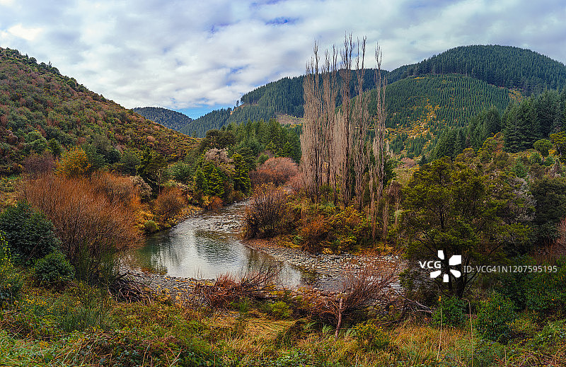 茴香谷图片素材