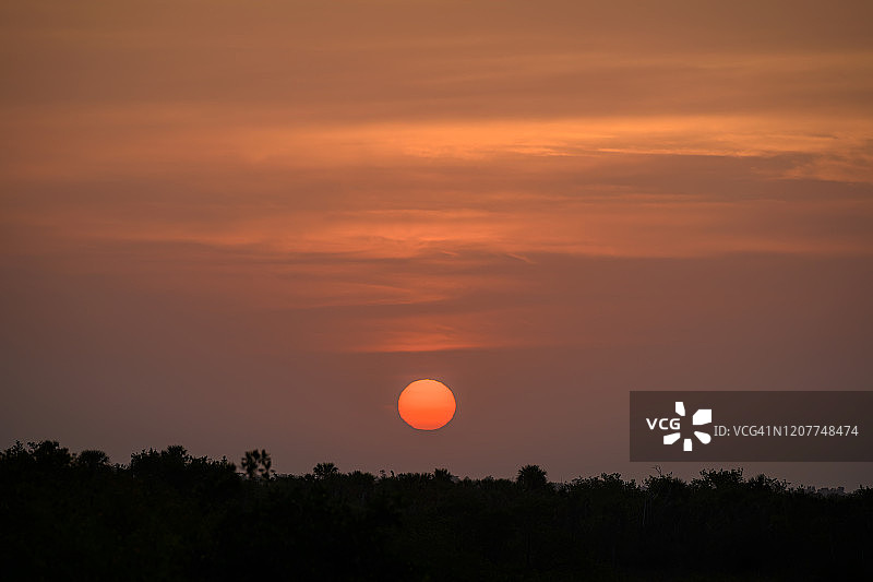 佛罗里达州那不勒斯万岛国家野生动物保护区的日出图片素材