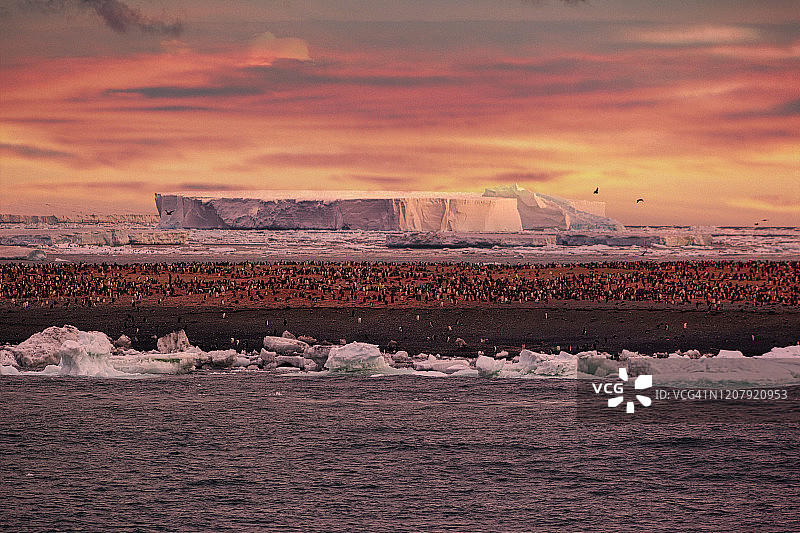 艾德尔角罗斯海南极洲图片素材