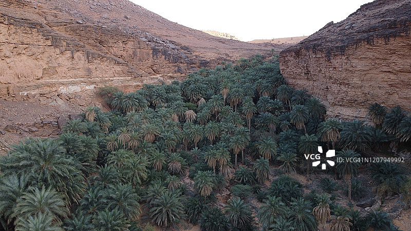 泰尔吉特绿洲图片素材