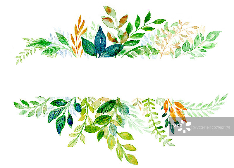 水彩植物框架图片素材