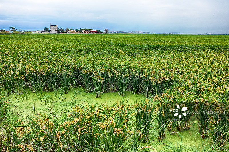 瓦伦西亚阿尔布费拉风光图片素材
