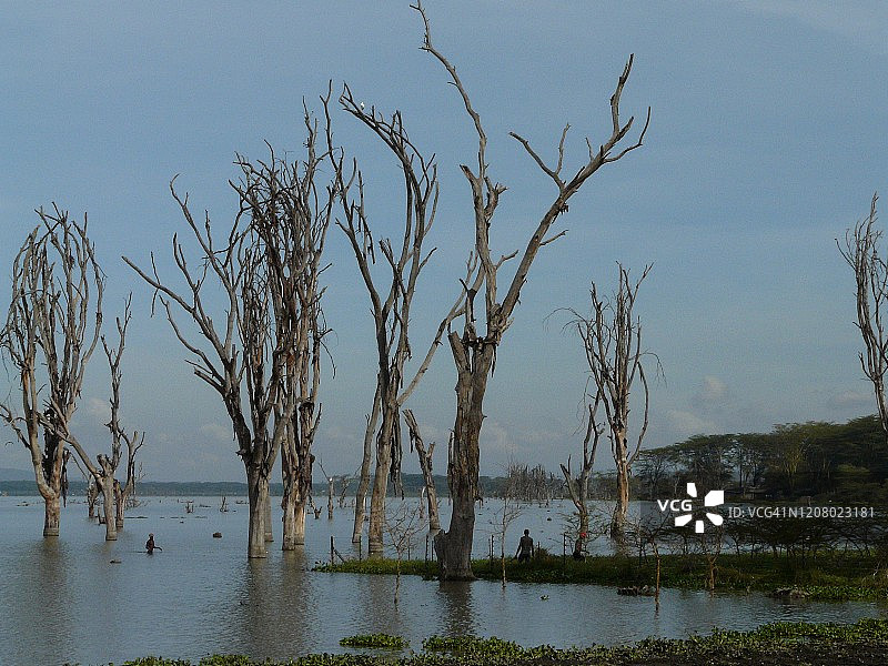 奈瓦沙湖图片素材