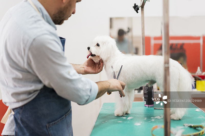 我们让您的宠物看起来更棒图片素材