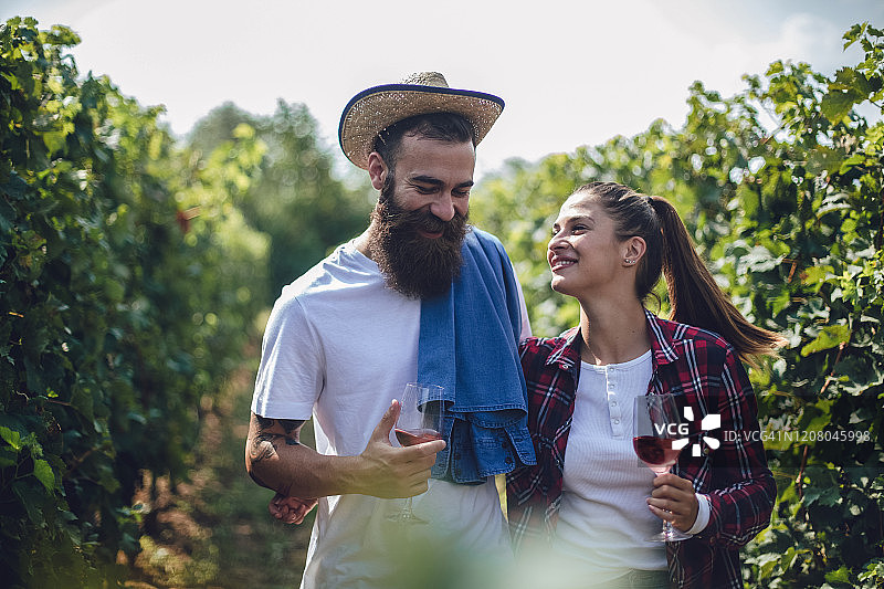 在葡萄园品酒图片素材