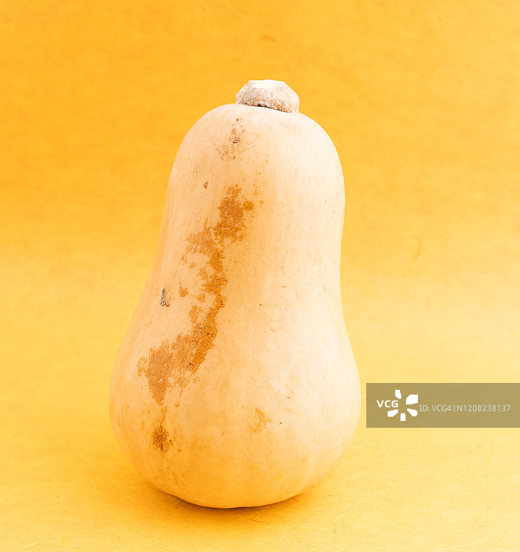 白胡桃图片素材