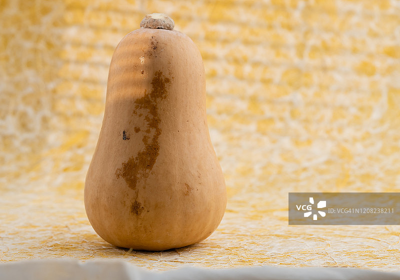 白胡桃图片素材