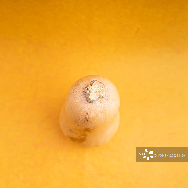 白胡桃图片素材