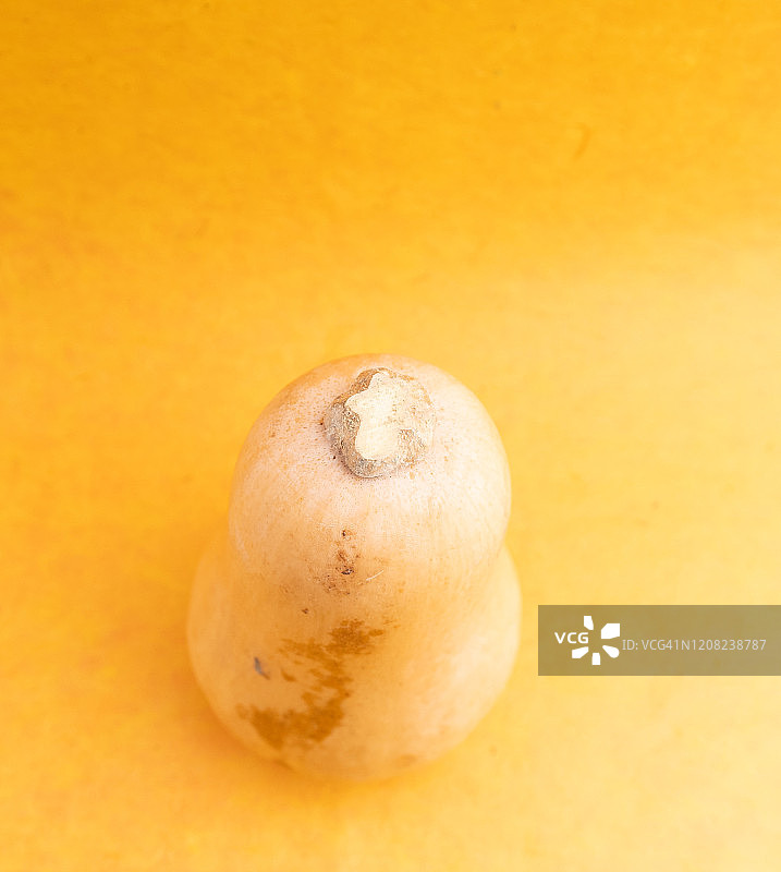 白胡桃图片素材