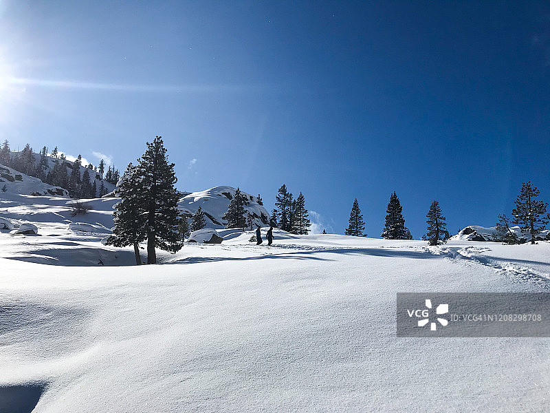 一家人在加利福尼亚州特拉基的新鲜粉雪中玩雪橇图片素材