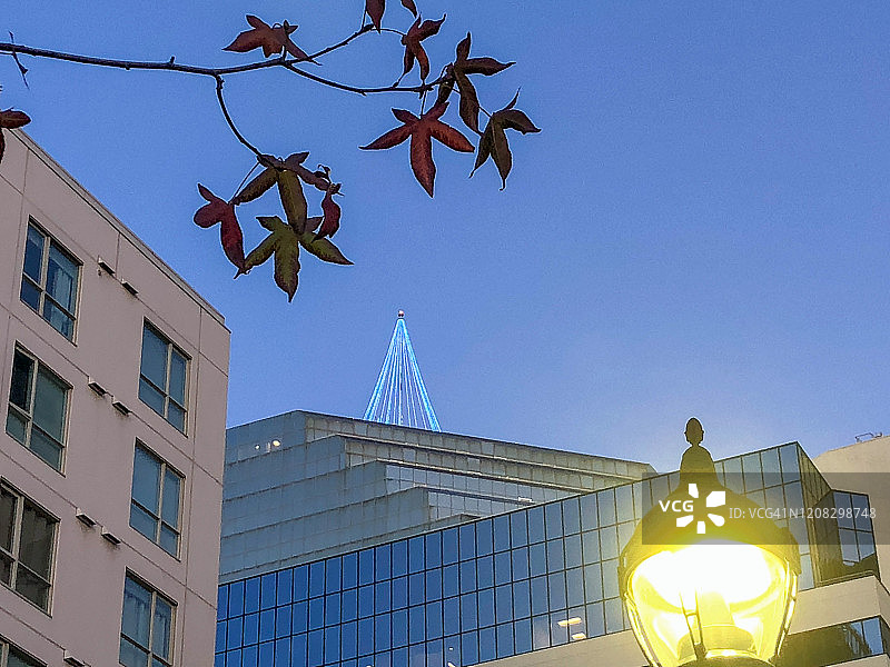 水泥森林图片素材