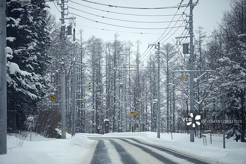 新雪谷滑雪村周围松树覆盖的美丽冬季雪景，2020年摄于北海道新雪谷图片素材