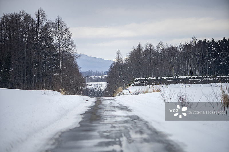 雪 cover 的新雪谷森林与村庄（2020年，日本北海道新雪谷附近）图片素材