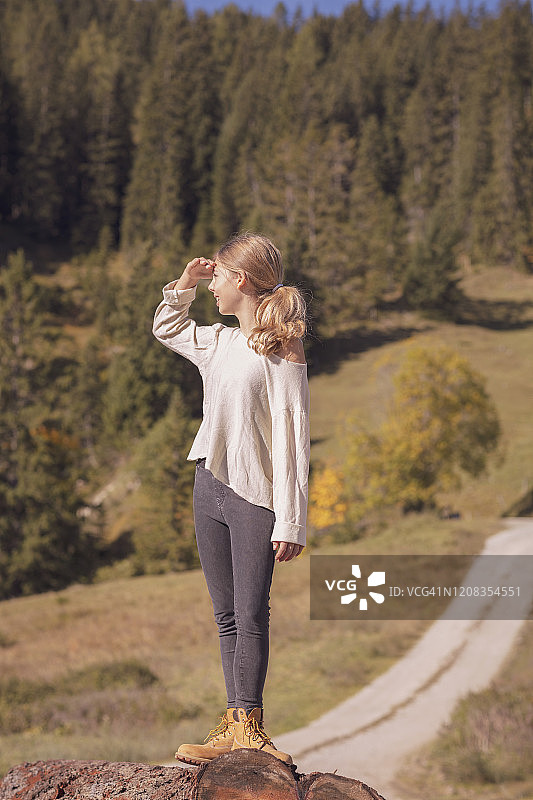 小女孩在树干上保持平衡，眺望远方图片素材