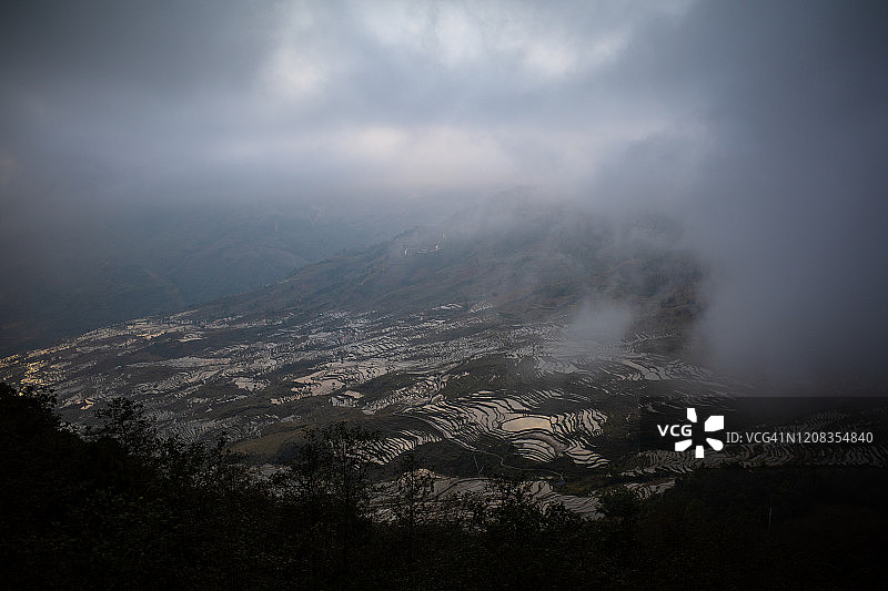云南省红河县撒玛坝梯田晨雾图片素材