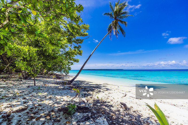 巴布亚新几内亚，米尔恩湾省，夏季冲突岛屿沙滩上的蓝天图片素材
