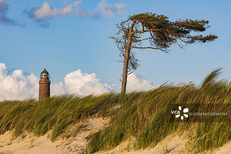 德国梅克伦堡-前波美拉尼亚州普雷罗，达尔瑟奥特灯塔的草地海滩图片素材