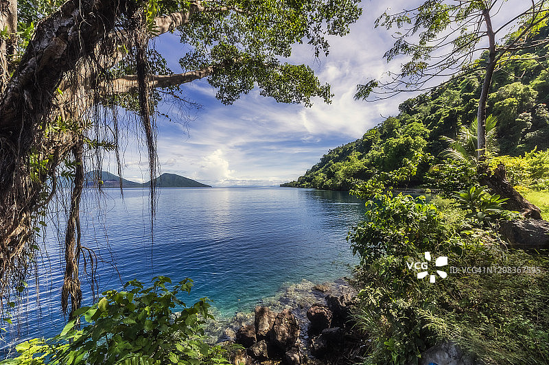 巴布亚新几内亚东新不列颠省拉包尔，阳光明媚的日子里新不列颠岛的森林覆盖岸边图片素材
