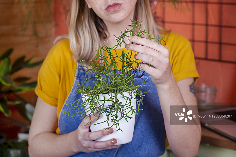 女人在露台上照料仙人棒的特写图片素材
