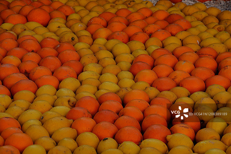 法国芒通的柠檬和橙子图片素材