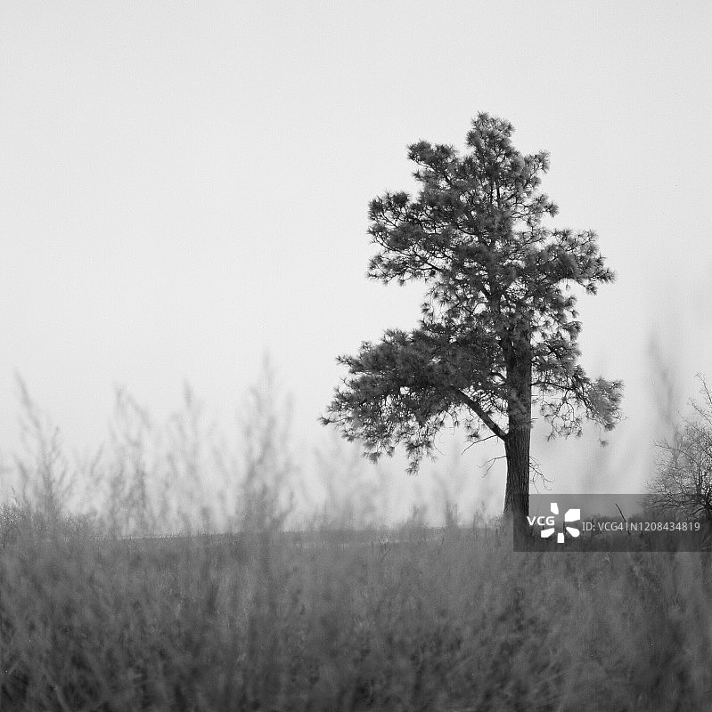 蒙大拿州风光图片素材