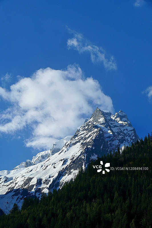印度北阿坎德邦甘戈德里-哈西尔图片素材
